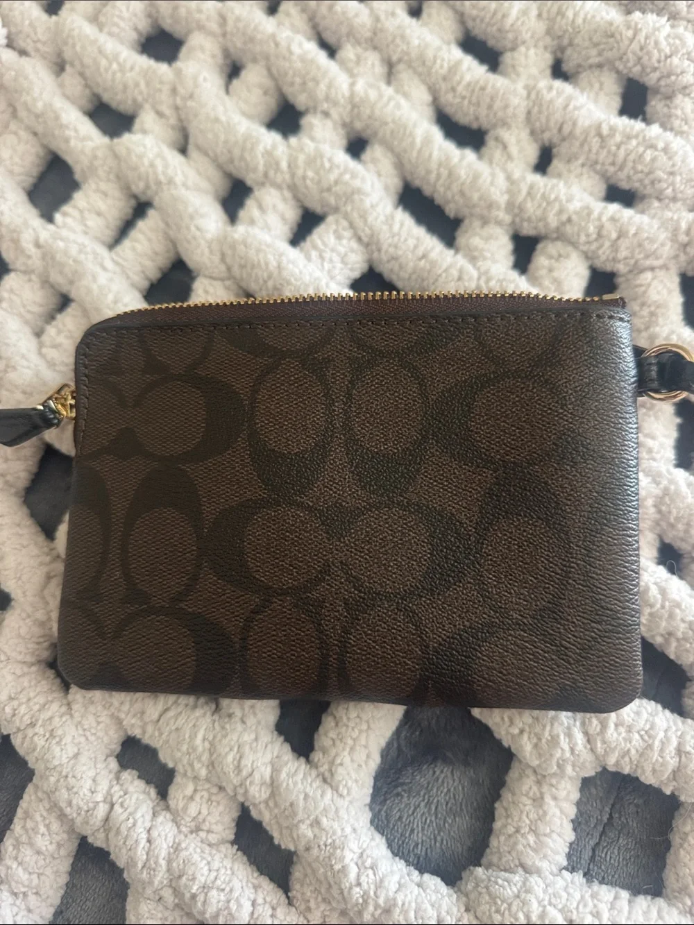 Coach signature canvas